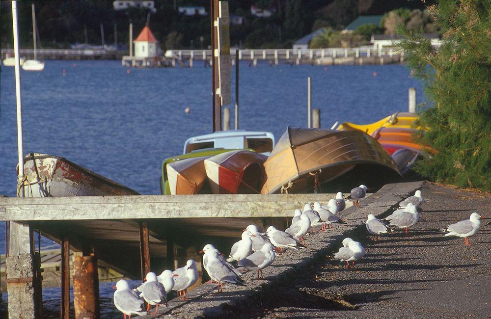 Akaroa Criterion Motel Exterior photo